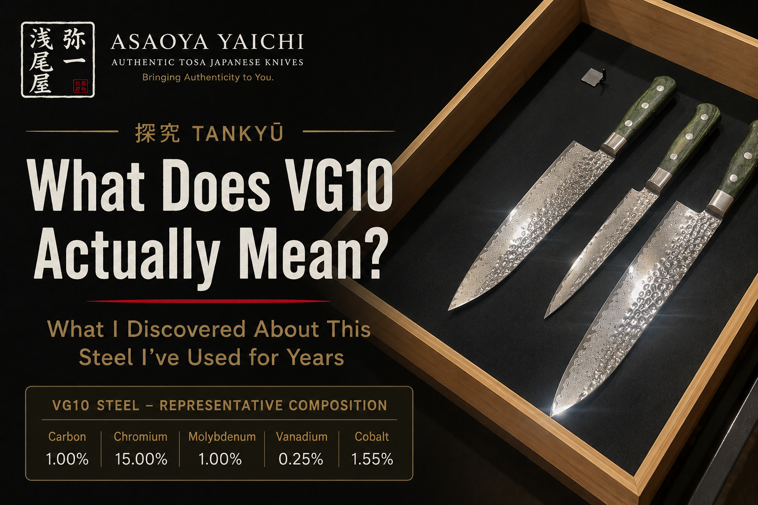 探究 Tankyū | What Does VG10 Actually Mean?